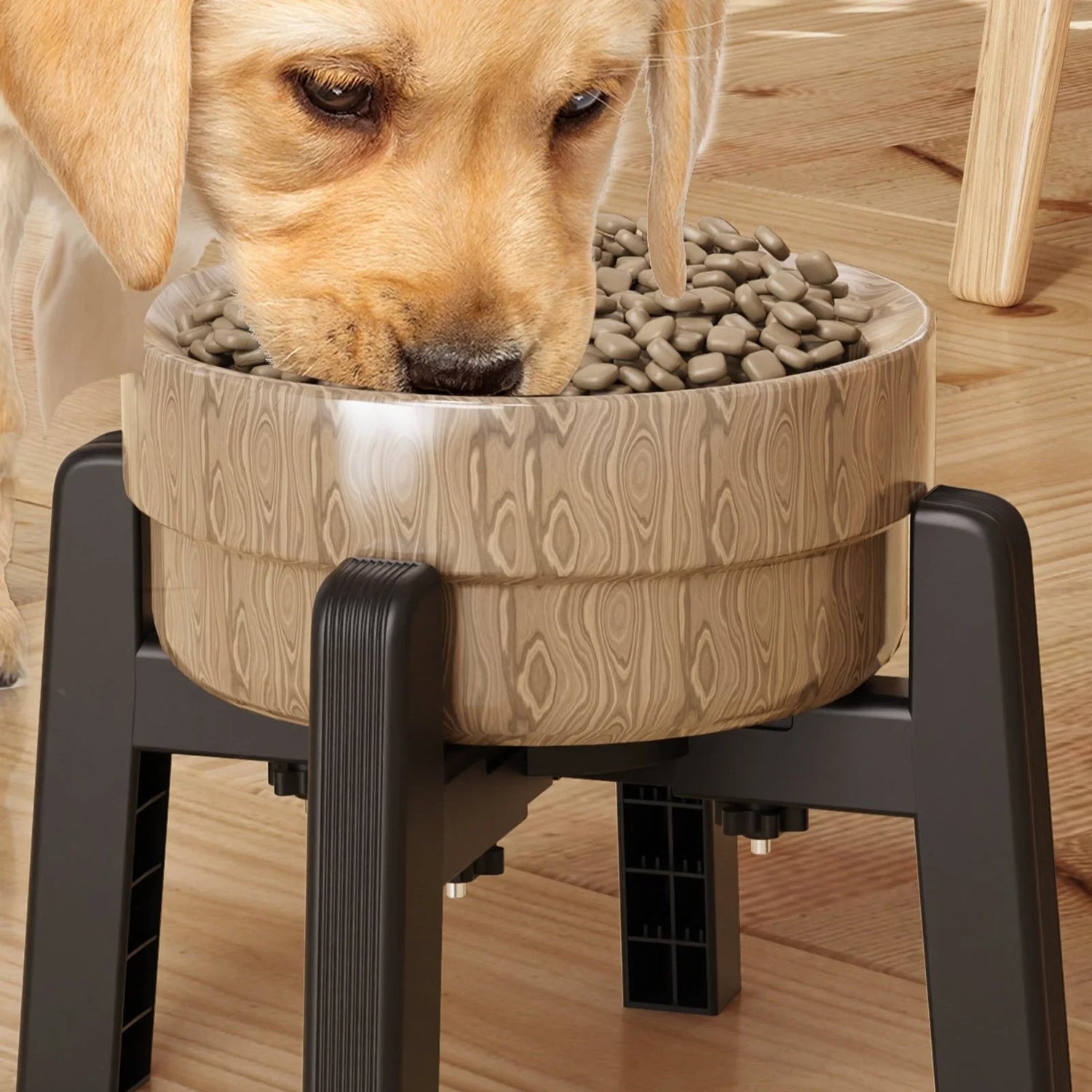 Pet Bowls & Feeding