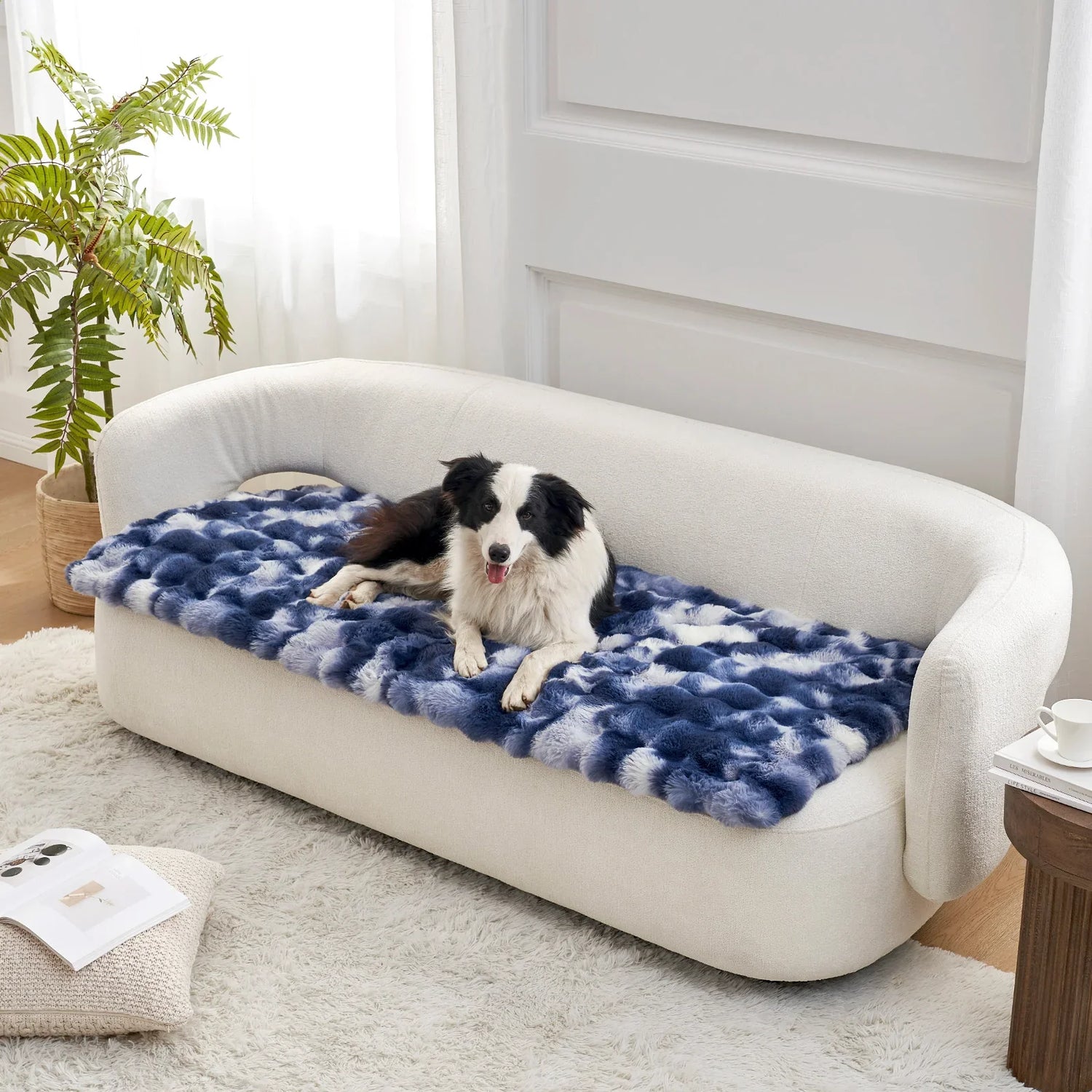 Pet Essentials
