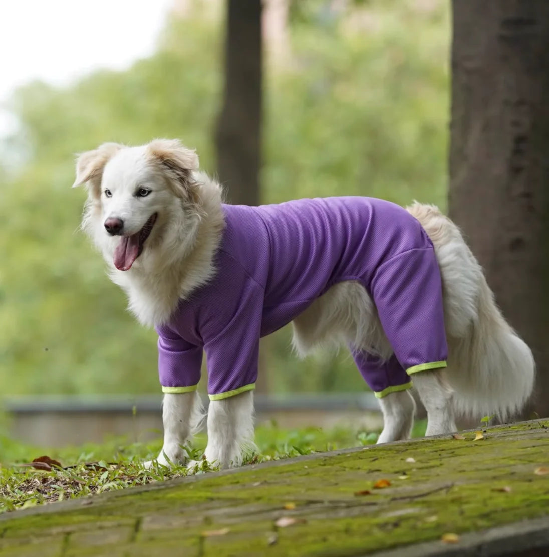 Summer Outfit Big Large Dog Jumpsuit for Schnauzer Corgi Husky Labrador Golden Retriever Dobermann Bull Terrier Dog Clothes