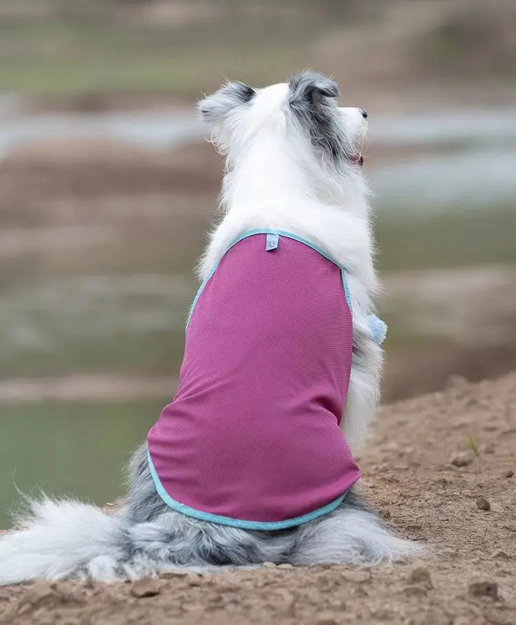Summer Outfit Big Large Dog Jumpsuit for Schnauzer Corgi Husky Labrador Golden Retriever Dobermann Bull Terrier Dog Clothes