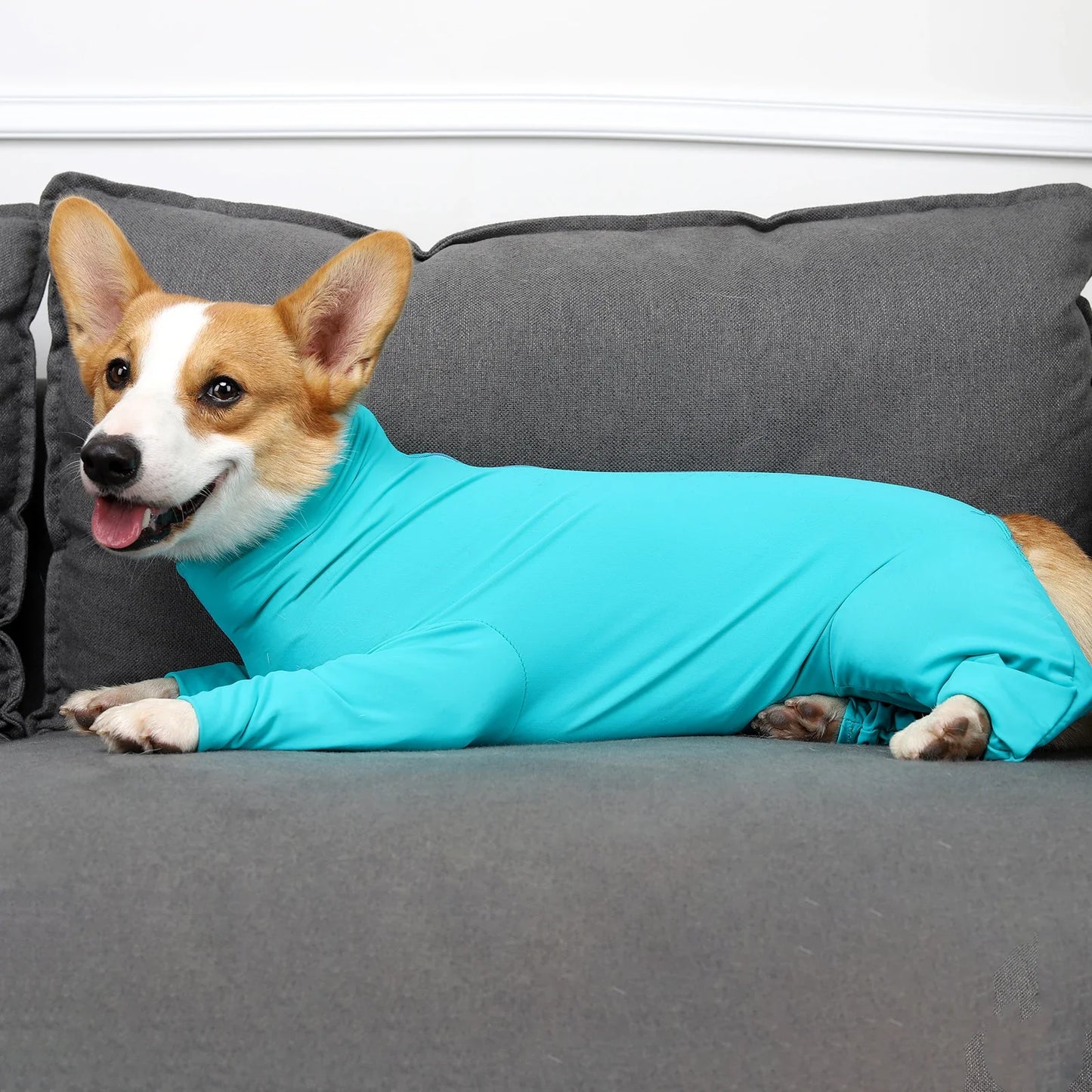Pet Dog Clothes Pet Surgical Recovery Suit Onesies After Surgery Anti Shedding Bodysuit for Small Large Dog Pajamas