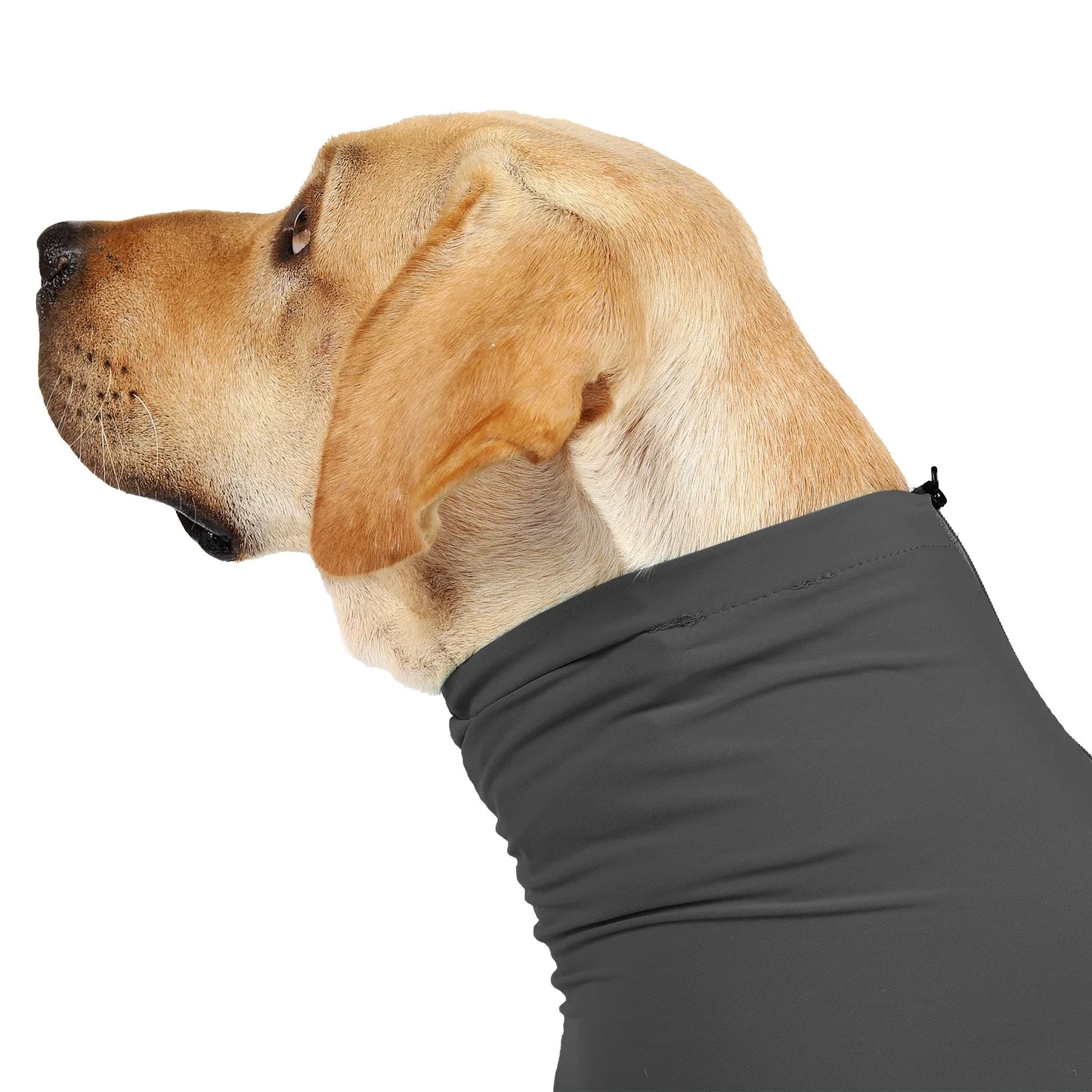Pet Dog Clothes Pet Surgical Recovery Suit Onesies After Surgery Anti Shedding Bodysuit for Small Large Dog Pajamas