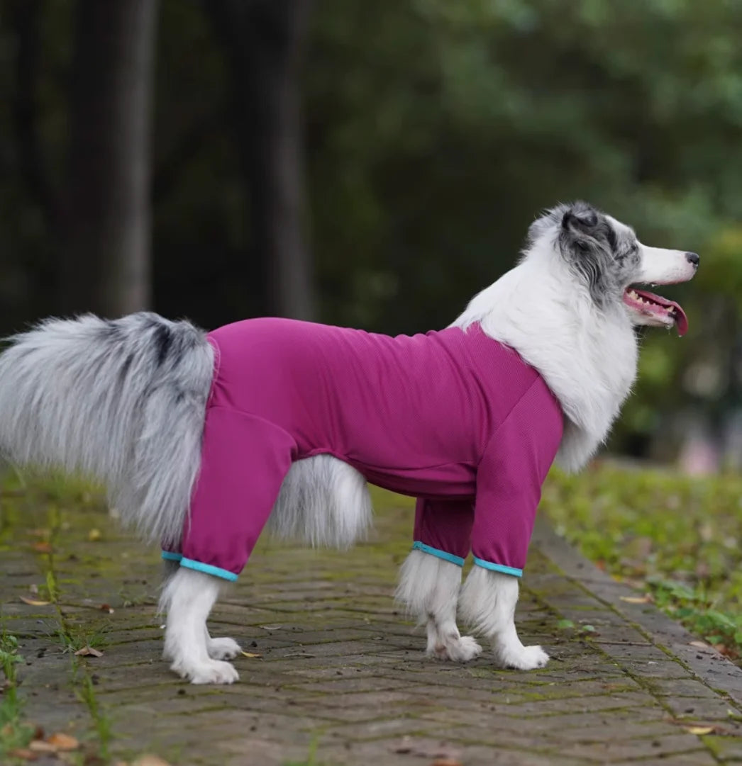 Summer Outfit Big Large Dog Jumpsuit for Schnauzer Corgi Husky Labrador Golden Retriever Dobermann Bull Terrier Dog Clothes