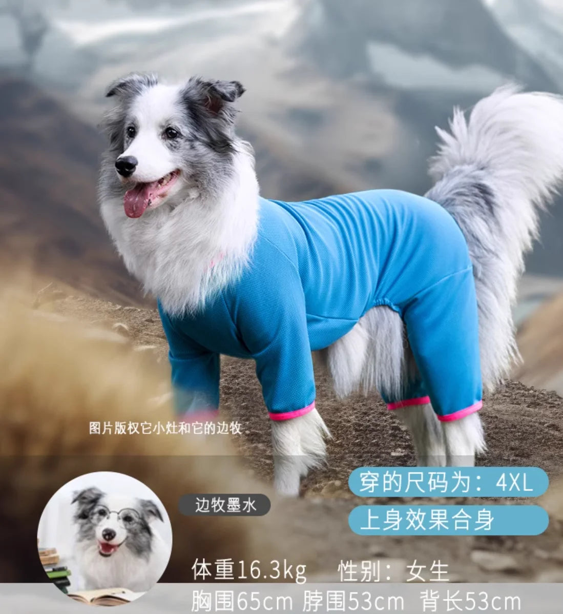 Summer Outfit Big Large Dog Jumpsuit for Schnauzer Corgi Husky Labrador Golden Retriever Dobermann Bull Terrier Dog Clothes
