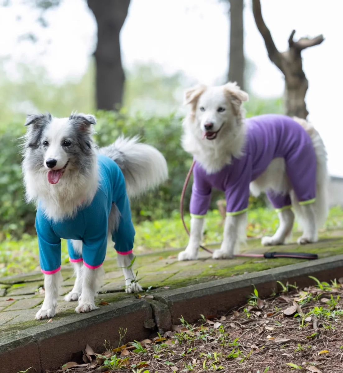 Summer Outfit Big Large Dog Jumpsuit for Schnauzer Corgi Husky Labrador Golden Retriever Dobermann Bull Terrier Dog Clothes